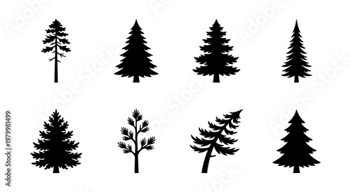 Pine tree silhouette collection, 8 evergreen conifer vector elements, black forest fir and spruce icons isolated on white background