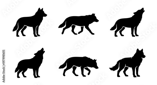 Black wolf silhouette collection, set of 6 wild animal vector icons, howling and walking timber wolf shapes, predatory canine wildlife graphics