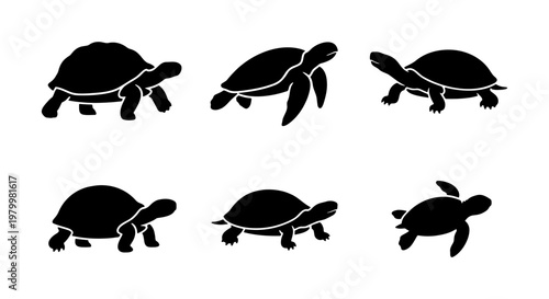 Black turtle silhouette collection, set of 6 tortoise and sea turtle vector icons, aquatic and land reptile shapes for nature logos