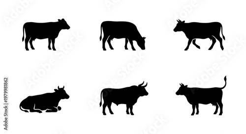 Black cow silhouette collection, 6 farm animal vector elements, standing and grazing cattle icons, bull and heifer livestock silhouettes for agriculture design