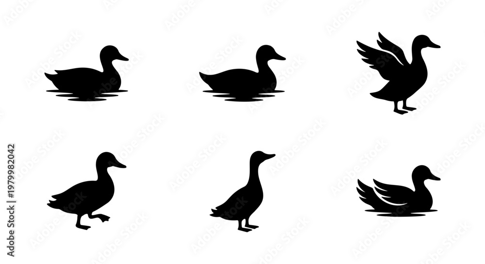 Fototapeta premium Black duck silhouette collection, set of 6 mallard waterfowl icons, swimming and standing bird vector shapes, wild duck hunting and nature graphics