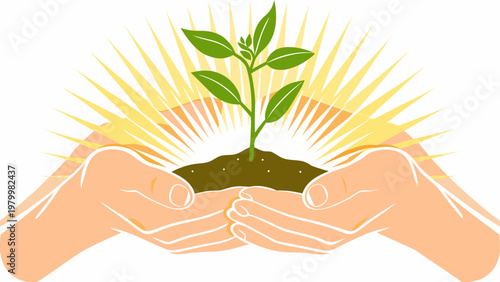 Hands gently cradling a sprouting plant representing growth and nurturing.