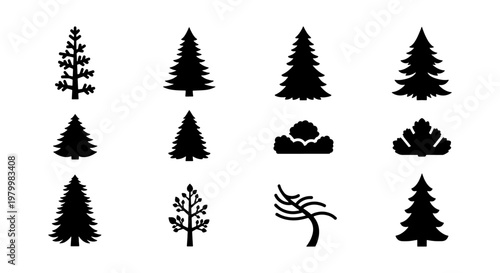 Pine tree silhouette collection, set of 12 evergreen forest tree icons. Minimalist black conifer vector shapes for winter landscape design.