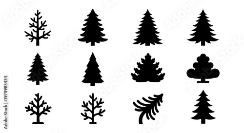 Minimalist pine tree silhouettes, set of 12 evergreen forest icons. Black conifer tree vector shapes, winter nature symbols for landscape design