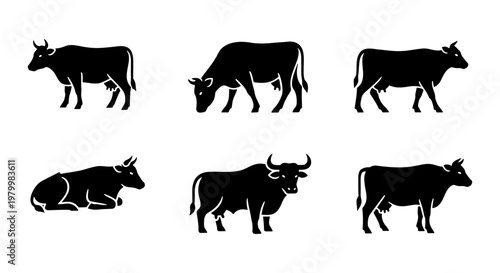Minimalist cow silhouettes set, black cattle icons in various poses, 6 vector farm animal illustrations for dairy and meat industry branding