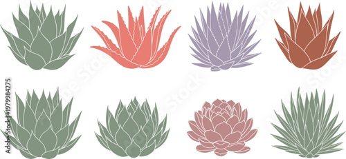 Succulent plants vector set with various cactus and aloe shapes in soft pastel colors decorative botanical illustration