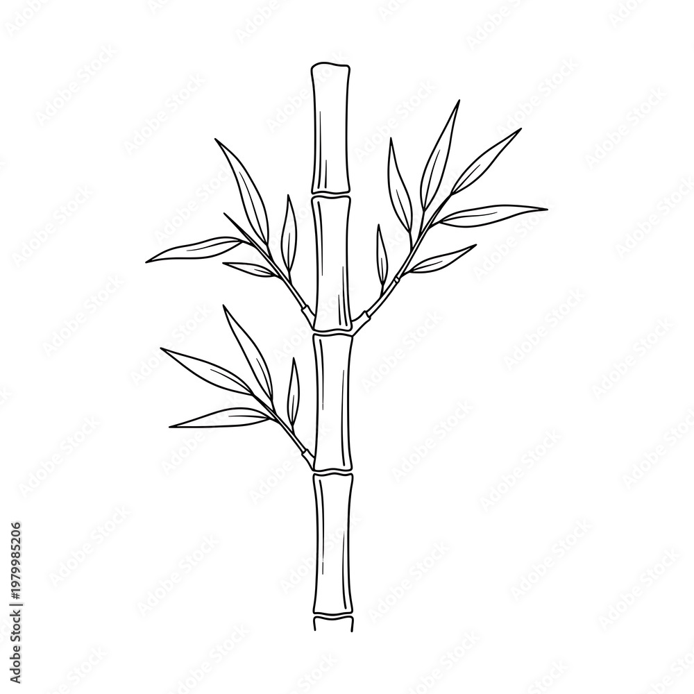 Fototapeta premium Simple Bamboo Stalk Line Art - Elegant Botanical Vector Illustration