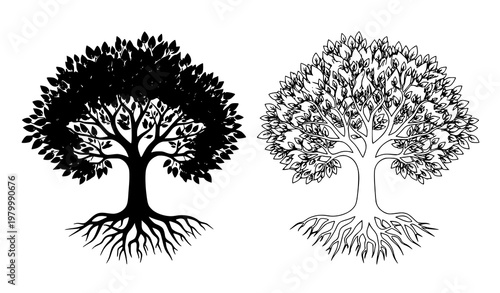 Black and white dual tree illustration with contrasting roots branches and detailed leaves vector