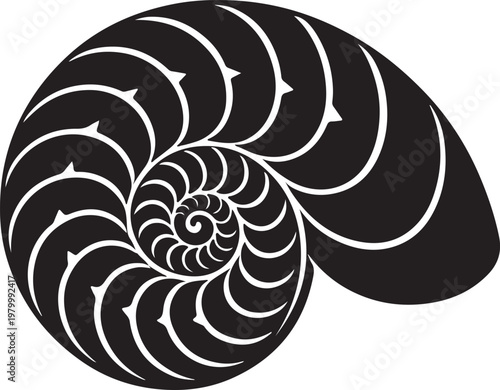 nautilus shell with spiral pattern silhouette vector icon
