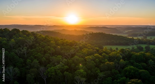 Sunrise Over Forest Hills - A Serene Landscape.