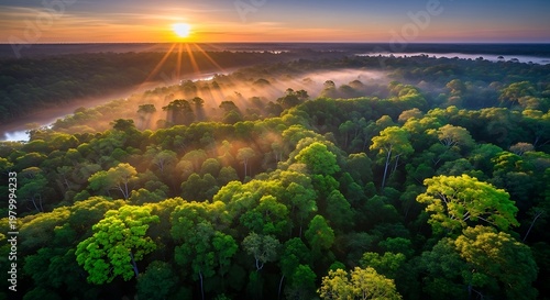 Sunrise Over Lush Green Forest Canopy - A Breathtaking Aerial View.