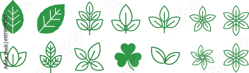 Set of green leaf icons including various botanical shapes minimal outline and solid vector illustration collection