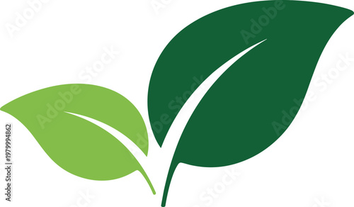 Two stylized green leaves with white veins on a white background
