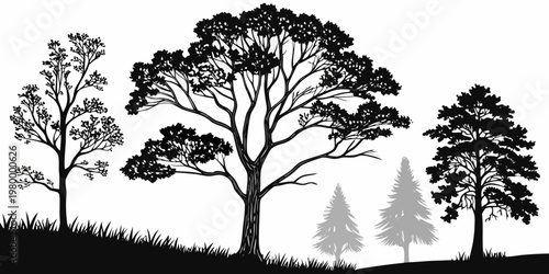 Silhouette of various trees and grass on a white background with tree group line art organic shape silhouette environment evergreen deciduous collection illustration isolated landscape