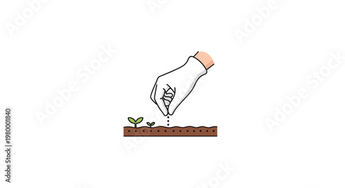 Hand Planting Seedling in Soil.