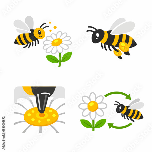 Bee Pollination Process Icons World Bee Day Bee Honey bee Vector Icon set Honey Honeycomb Pollinatio