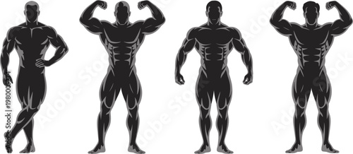 Four Muscular Male Silhouettes Posing On White Background With Defined Abs And Biceps bodybuilder fitness