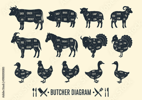 Butcher Guide Meat Cut Diagrams Set: Vintage Animal Silhouettes with Labels for Cow, Pig, Lamb, Chicken, Duck, Turkey, and More. Educational Infographic for Butchery and Cooking.