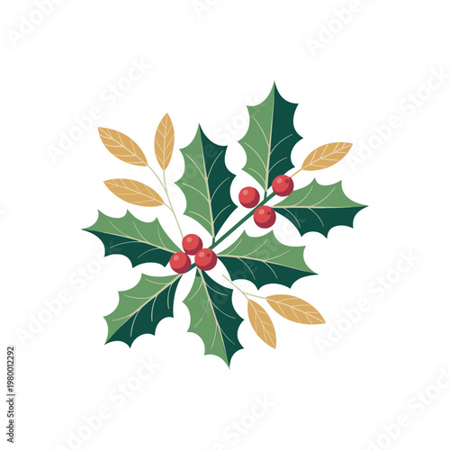 Holly leaves and berries festive Christmas decoration vector graphic