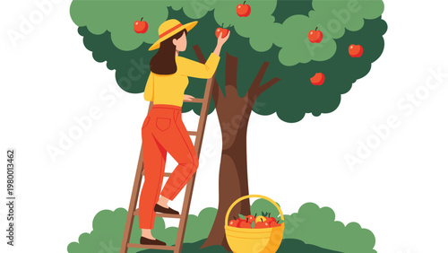 Hardworking woman climbs a wooden ladder to pick ripe red apples from a leafy green tree during the autumn harvest season.
