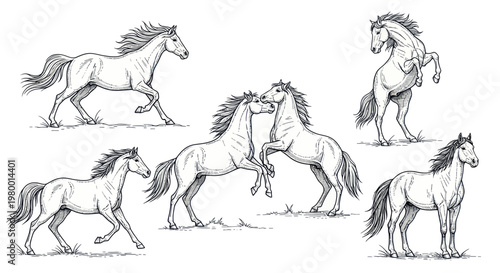 Sketch of Six Horses in Various Poses, Drawing Style