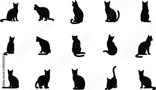 Cat silhouette collection, feline posture illustration set, domestic pet icons, black vector cats artwork, animal design elements, sitting standing crouching stretching cats