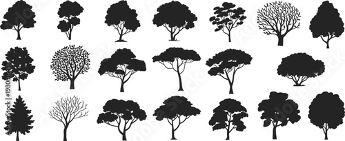 Tree silhouette collection, diverse forest illustration set, black vector trees artwork, nature design elements, deciduous and coniferous tree shapes, botanical study icons