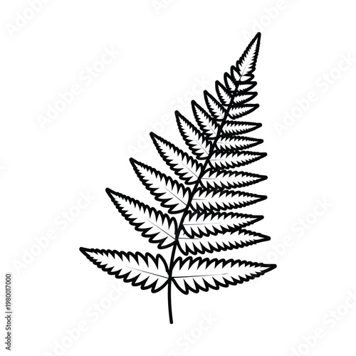 Black and white outline illustration of a single fern frond with detailed leaflets and serrated edges, isolated on a white background.