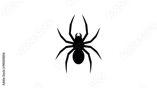 Spider silhouette icon black insect vector