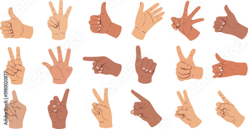 Cartoon hand poses set with holding, pointing and like gestures, diverse hands fists and palms showing signs in vector illustration
