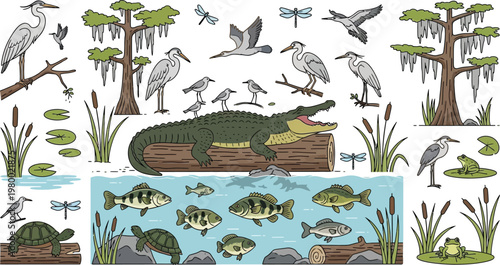 Swamp ecosystem contains a large alligator resting on a log surrounded by fish, turtles, birds, and trees.