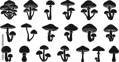 Large mushroom silhouette collection featuring various fungi shapes for autumn forest nature designs organic food icons and botanical vector illustrations