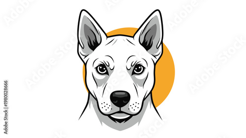 Strong portrait of a white bull terrier dog head with pointed ears centered on a vibrant orange circular background.