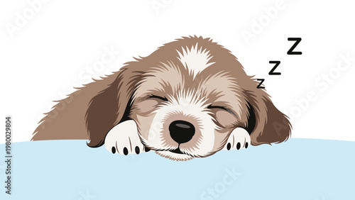 Adorable brown and white puppy sleeping peacefully on a blue surface with zzz symbols on a white background.