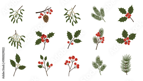 Selection of winter botanical elements featuring detailed holly leaves, red berries, mistletoe sprigs, and evergreen pine branches for holidays.