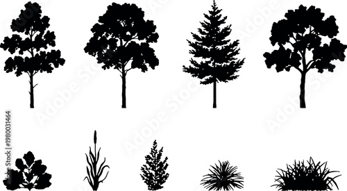Black tree and shrub silhouettes collection with various plant species vector icons for landscape design and outdoors.