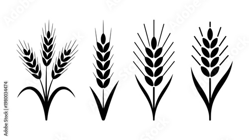 Four artistic black wheat stalk icons depicting grain growth for agricultural and food industry usage