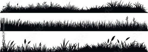 Bild auf Leinwand Detailed grass silhouette borders with wild plants and natural ground textures