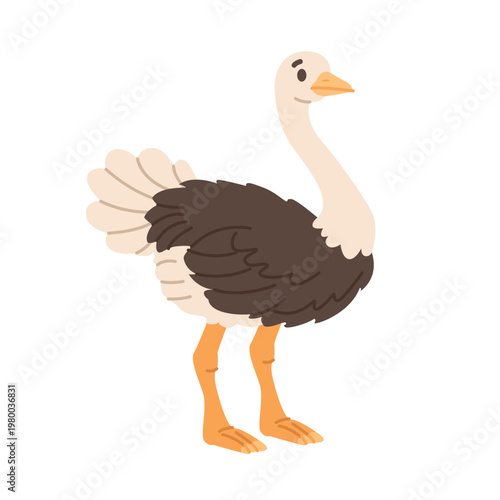 Ostrich Isolated Clipart. Сute Farm Animal. Livestock Poultry Concept. Flat Vector Illustration.