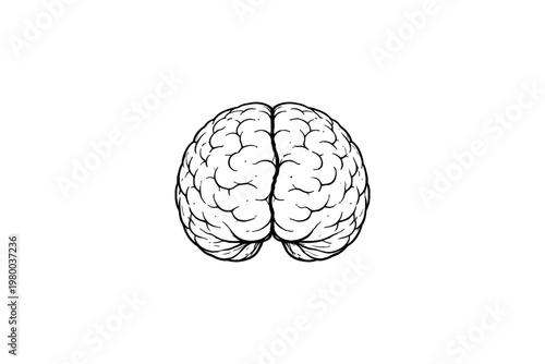 Stylized black and white illustration of a human brain viewed from above