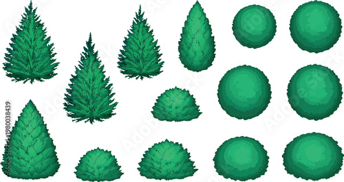 Green evergreen trees and garden shrubs set in top view and side view perspective for architectural landscape planning. vector illustration