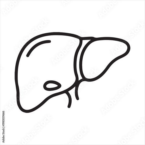 Simple outline drawing of the human liver organ in black and white