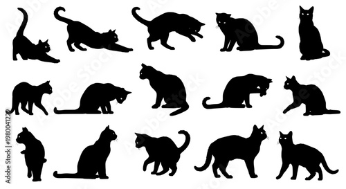 Cat silhouettes set of black cats walking sitting hunting paw prints vector art for decor, patterns, stickers, web design
