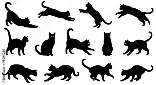 Cats set of black silhouette icons with varied poses for pet care, veterinary, and playful design themes