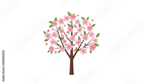 Cherry tree vector illustration flat blossom tree isolated on white background