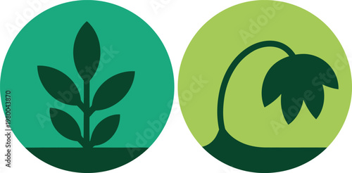 Healthy green plant growing tall beside a withered drooping flower inside two circular badge icons