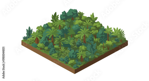 3D isometric view flat style illustration of dense tropical jungle forest with trees and plants, natural ecosystem environment full of greenery