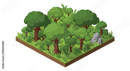 3D isometric view flat style illustration of dense tropical jungle forest with trees and plants, natural ecosystem environment full of greenery