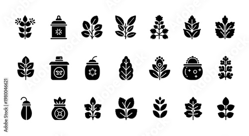 Collection of black herbal and botanical icons on a white background