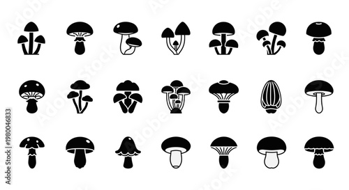 Collection of diverse mushroom icons in a simple, clean, black and white graphic style